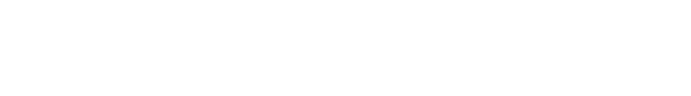 THE BONGA CASTLE